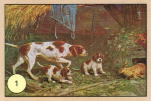 CRT CANI-01