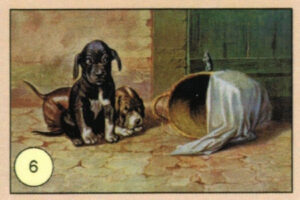 CRT CANI-06