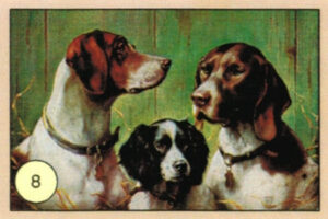 CRT CANI-08