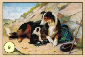 CRT CANI-09
