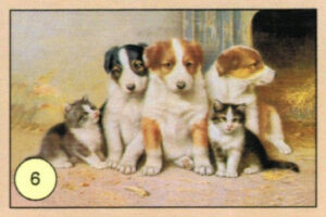 Cartoline Cani e Gatti