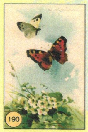 CRT FARFALLE-190
