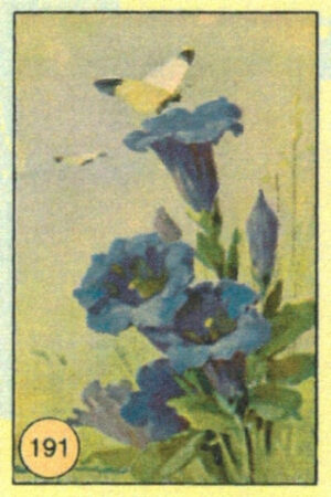 CRT FARFALLE-191