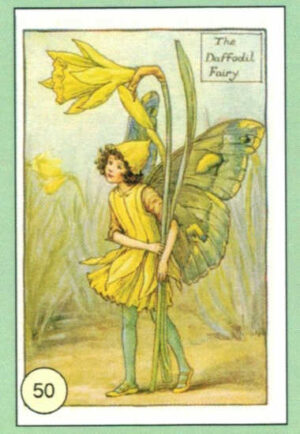 CRT FATINE-FIORI-50