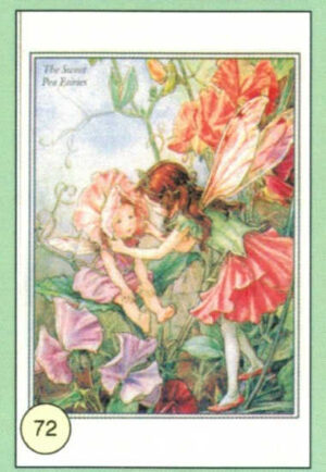 CRT FATINE-FIORI-72