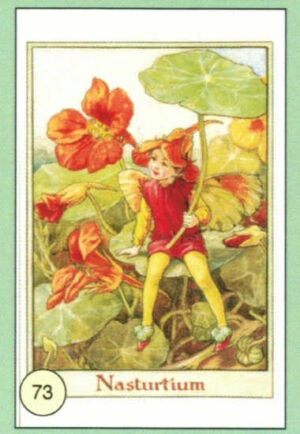 CRT FATINE-FIORI-73