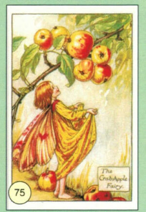 CRT FATINE-FIORI-75