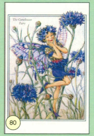 CRT FATINE-FIORI-80