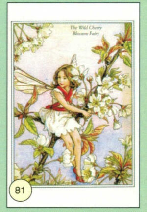 CRT FATINE-FIORI-81