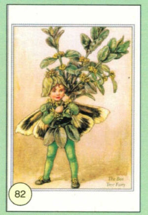 CRT FATINE-FIORI-82