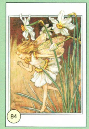 CRT FATINE-FIORI-84