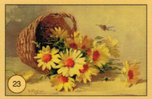 CRT FIORI-FRUTTA-023
