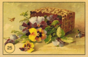 CRT FIORI-FRUTTA-025