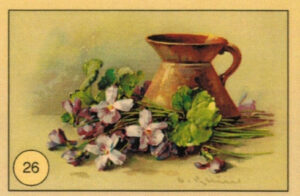 CRT FIORI-FRUTTA-026