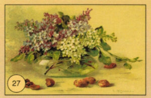 CRT FIORI-FRUTTA-027