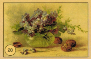 CRT FIORI-FRUTTA-028