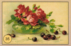 CRT FIORI-FRUTTA-035