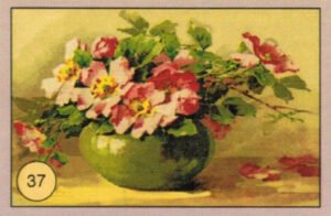 CRT FIORI-FRUTTA-037