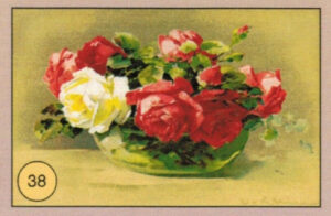 CRT FIORI-FRUTTA-038