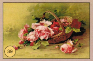 CRT FIORI-FRUTTA-039