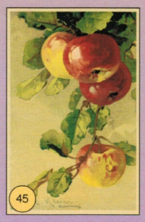 CRT FIORI-FRUTTA-045