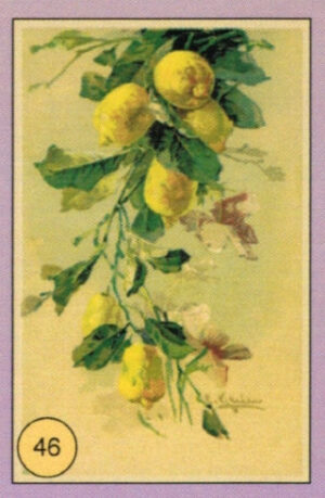 CRT FIORI-FRUTTA-046