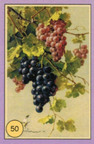 CRT FIORI-FRUTTA-050