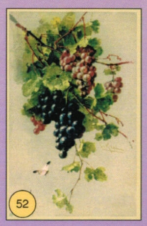 CRT FIORI-FRUTTA-052