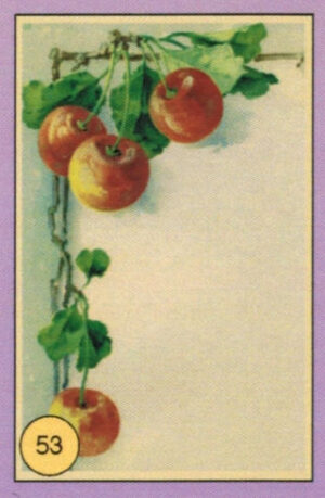 CRT FIORI-FRUTTA-053