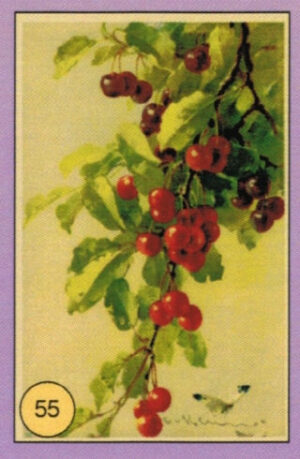 CRT FIORI-FRUTTA-055