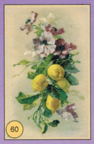 CRT FIORI-FRUTTA-060