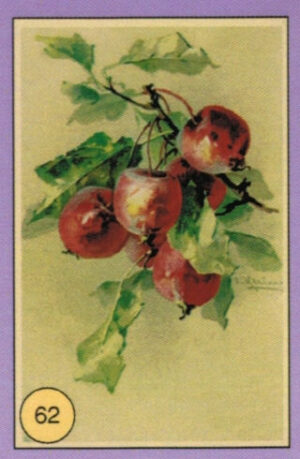 CRT FIORI-FRUTTA-062