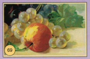 CRT FIORI-FRUTTA-069