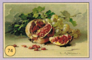 CRT FIORI-FRUTTA-074
