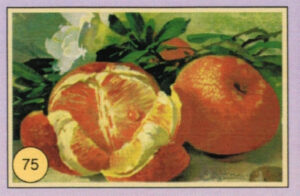CRT FIORI-FRUTTA-075