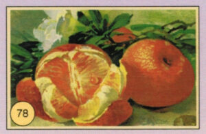 CRT FIORI-FRUTTA-078