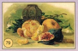 CRT FIORI-FRUTTA-079