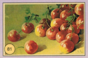CRT FIORI-FRUTTA-081