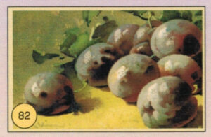 CRT FIORI-FRUTTA-082