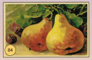 CRT FIORI-FRUTTA-084