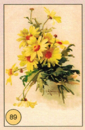 CRT FIORI-FRUTTA-089