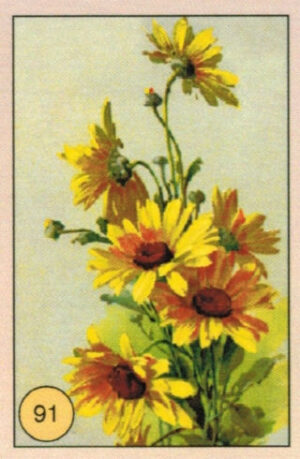 CRT FIORI-FRUTTA-091