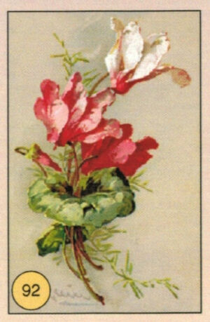 CRT FIORI-FRUTTA-092