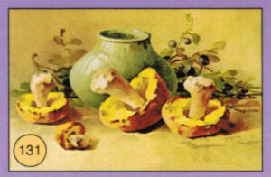 CRT FIORI-FRUTTA-131