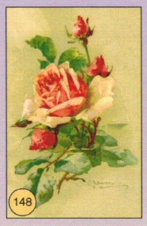 CRT FIORI-FRUTTA-148
