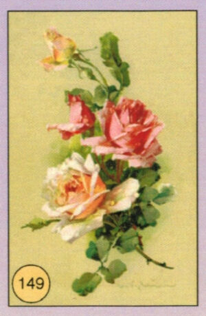 CRT FIORI-FRUTTA-149
