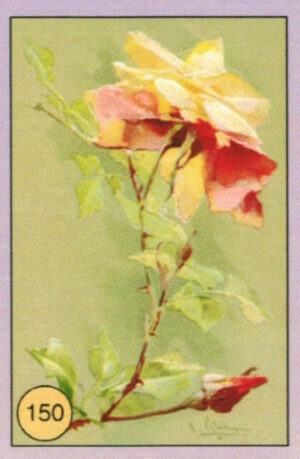 CRT FIORI-FRUTTA-150