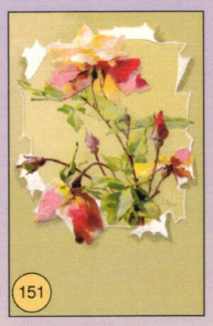 CRT FIORI-FRUTTA-151