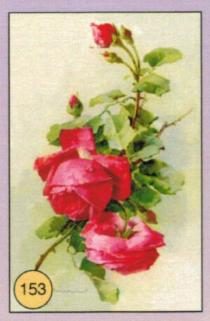 CRT FIORI-FRUTTA-153