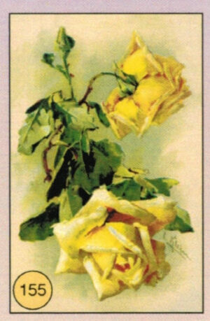 CRT FIORI-FRUTTA-155